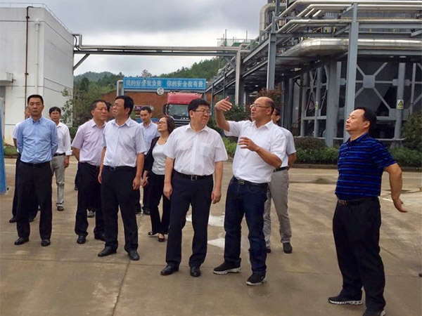 黄山市委书记任泽锋一行至黄山beats365调研
